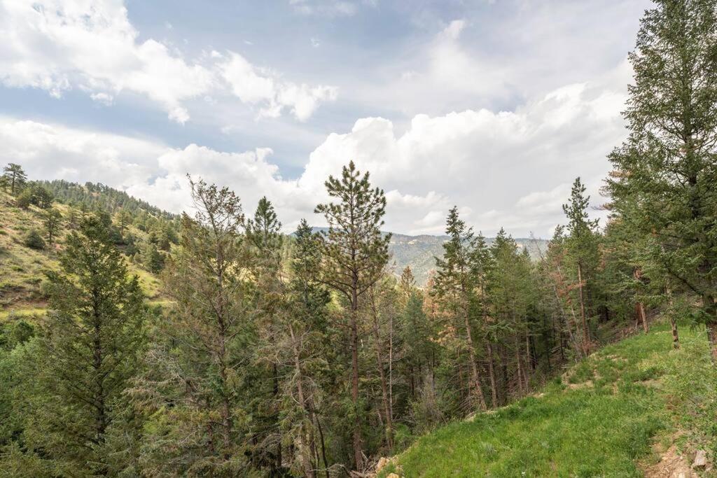 Sodacreek Look-Out .3 Mi From I70 + Hotsprings Idaho Springs Exterior photo